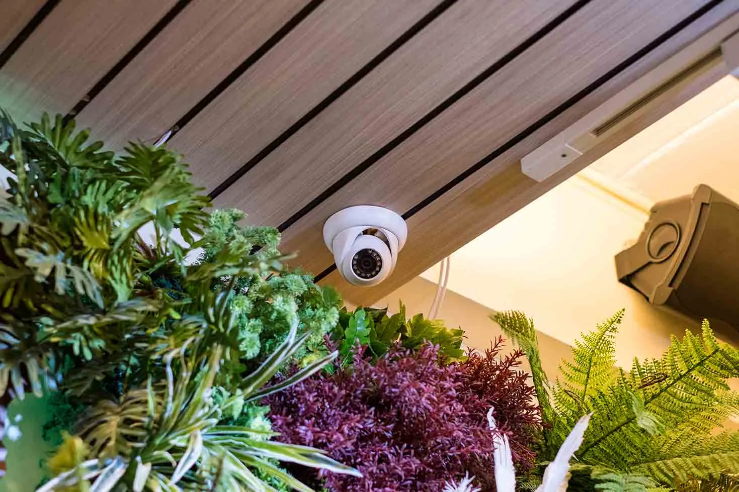 Electronic Security Solutions Sydney - 3